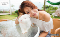 滴天居士每周生肖运势（11.10-11.16）